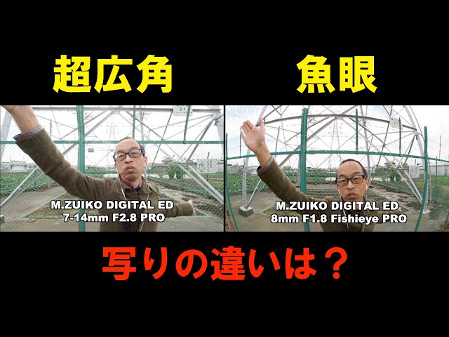 初心者必見】魚眼レンズと超広角レンズ・写りの違いを動画で徹底検証