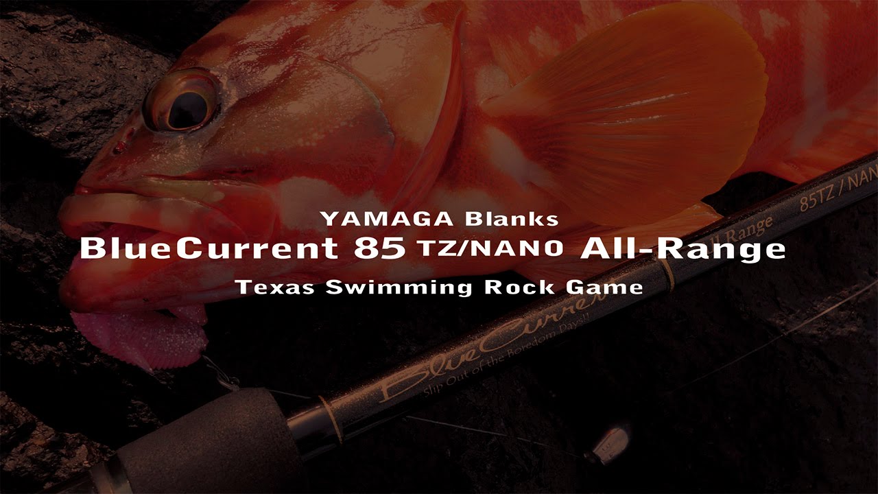 BlueCurrent 85TZ/NANO AllRange ロックフィッシュ実釣動画 - YouTube