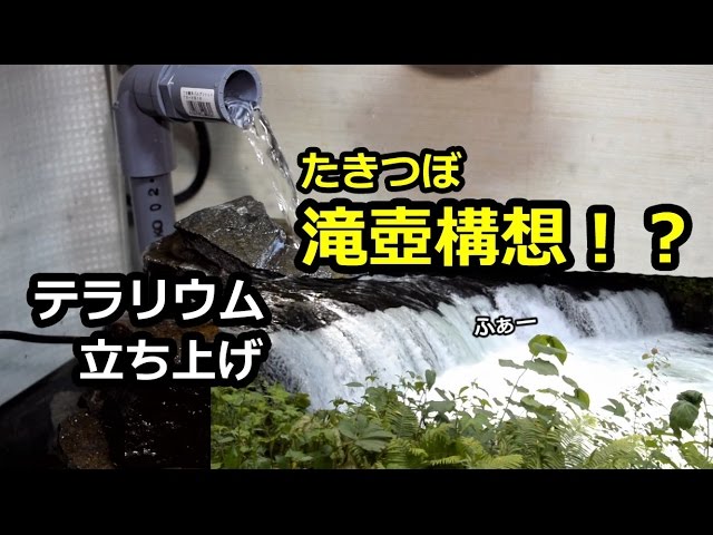 構想が固まる！滝のアクアテラリウム水槽立ち上げ - YouTube