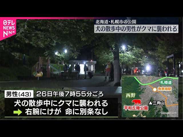 右腕にけが】犬の散歩中の男性、クマに襲われ 札幌市の公園 - YouTube