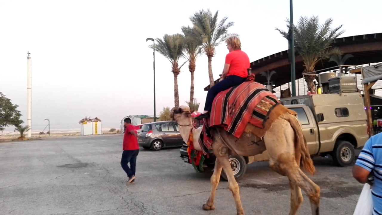 Riding a camel near Jericho - YouTube