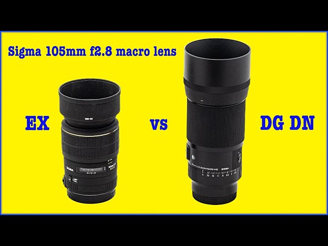 Sigma 105mm f2 8 DG DN macro lens review - YouTube
