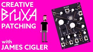 Make Noise Bruxa Time-filter Delay Eurorack Module | Sweetwater