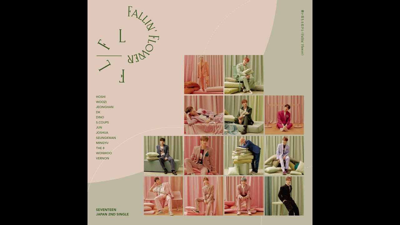 SEVENTEEN (세븐틴) '舞い落ちる花びら (Fallin' Flower