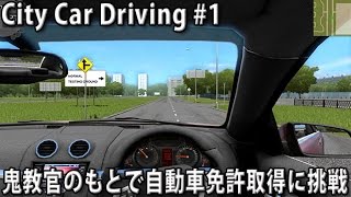 Trying to get a driver's license under the guidance of a strict