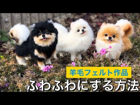ふわふわ ポメラニアン 【毛の手入れの仕方】羊毛フェルト - YouTube