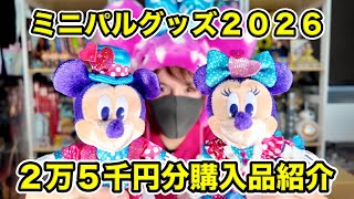購入品紹介】ミニーのパルパルーザ新商品の購入品を紹介！ぬいぐるみ