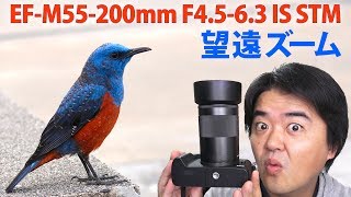 Canon EF-M55-200mm F4.5-6.3 IS STM Telephoto Zoom Lens