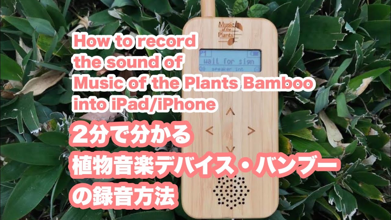 How to record the sound of Music of the Plants Bamboo into iPad