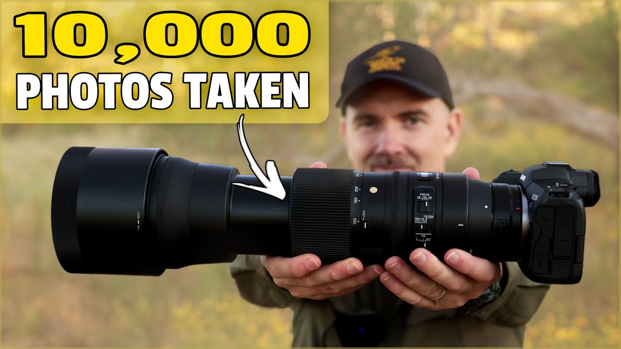Sigma 150-600mm Contemporary Review for Bird and Wildlife