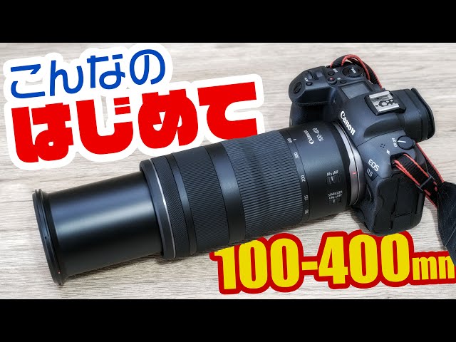 すごい瞬間が撮れた「Canon RF100-400mm F5.6-8 IS USM」キヤノン超