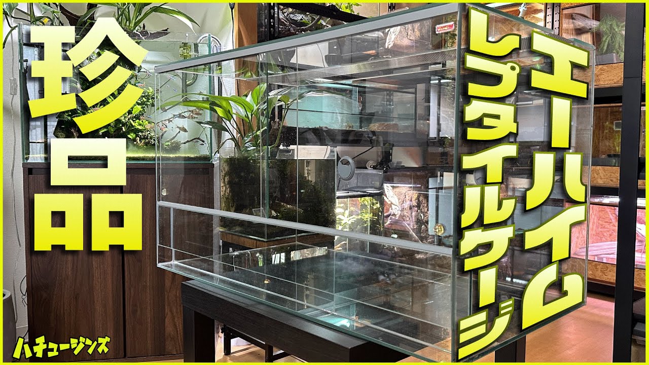 激レア】爬虫類部屋用にエーハイムの珍しい飼育ケージを激安で買いまし