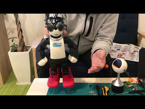 週刊ロビ2」77号 ロビ全身の動きのテスト - YouTube