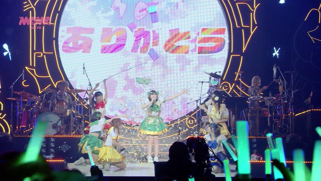 DVD］コスモツアー 2019 in 日本武道館（初回限定盤） – TOY'S STORE