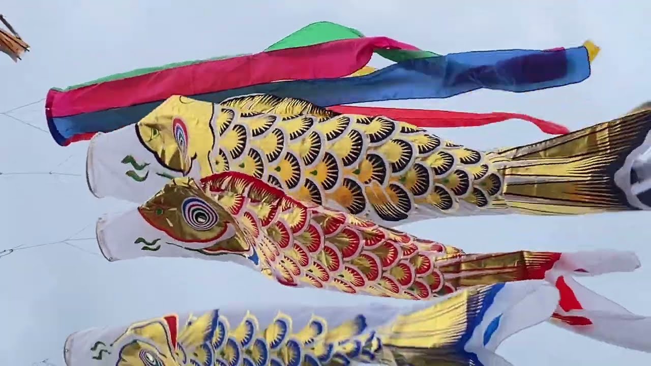 基本セット】東旭 黄金鯉 五色吹流し2mセット 揚げてみた動画42弾