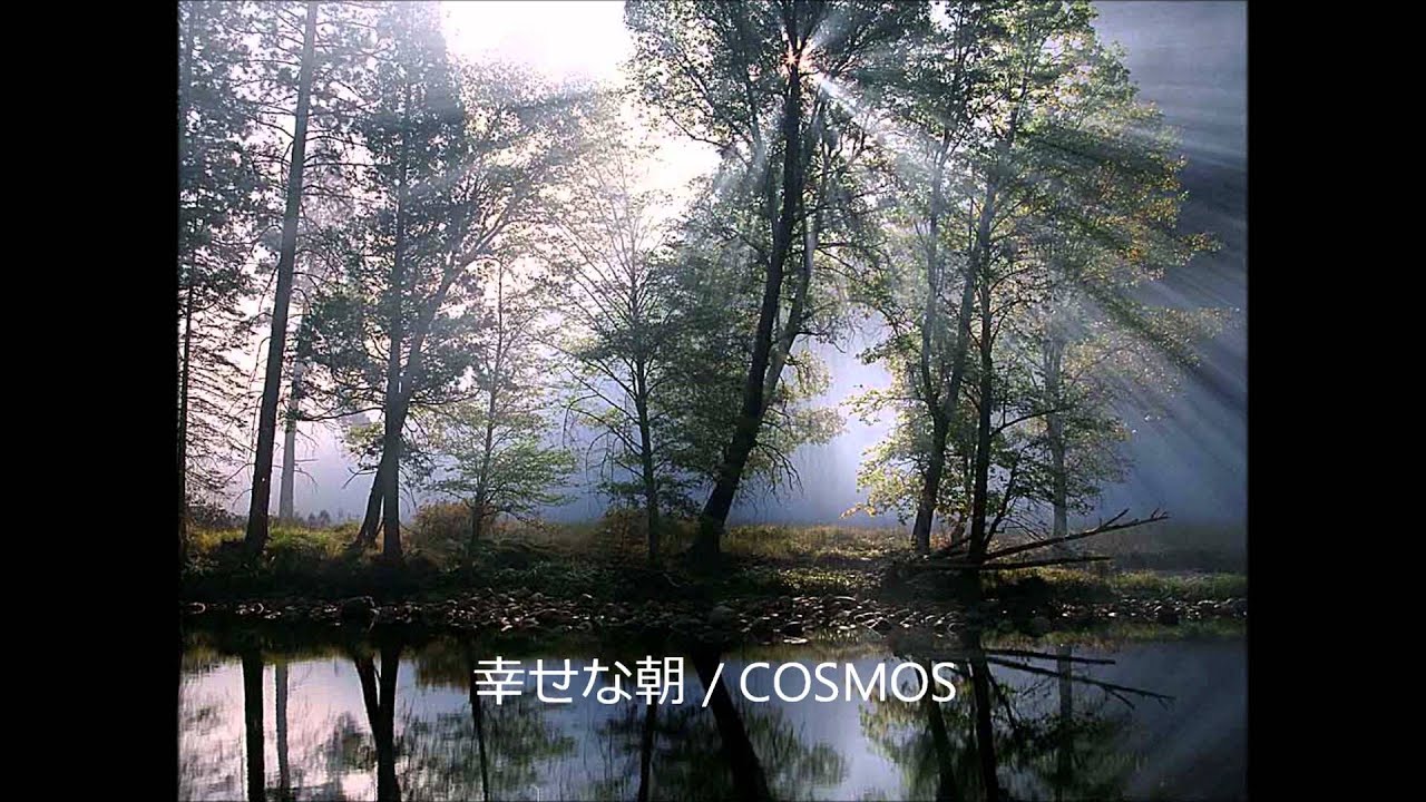 コスモス COSMOS (土居慶子) / MUSITOPIA (LP) - HIP TANK RECORDS