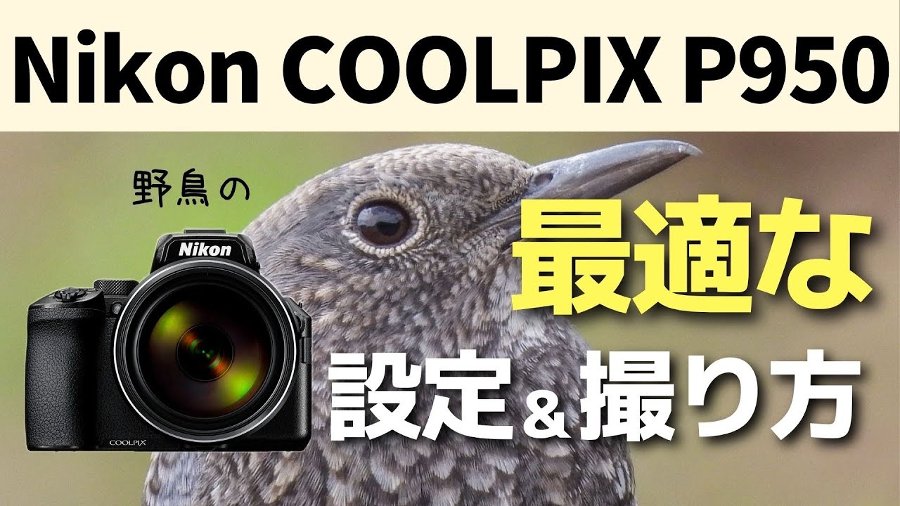 Archival Edition] Complete Guide to the COOLPIX P950! This is the