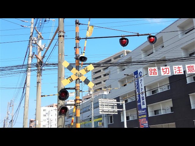 希少在外占領地エラー日横切手c056 希少在外占領地エラー日横切手c056