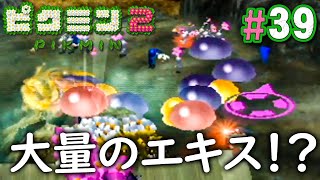 A small and happy insect found on the land of hope 