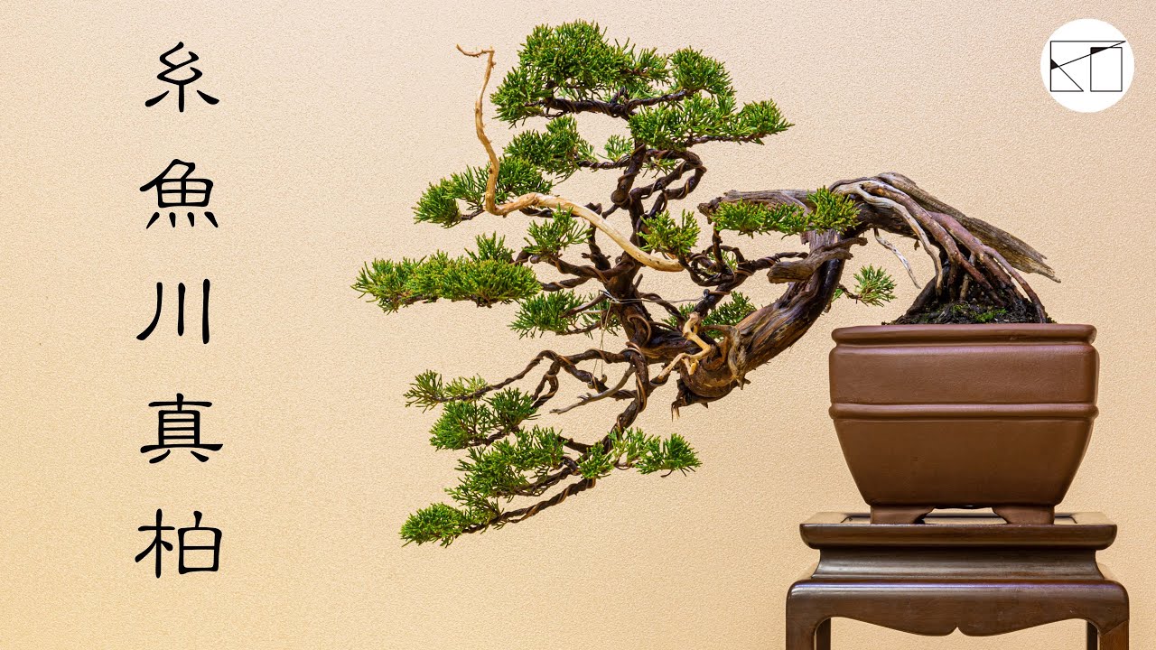 Itoigawa Shinpaku] Though it may be small, it is over 100 years