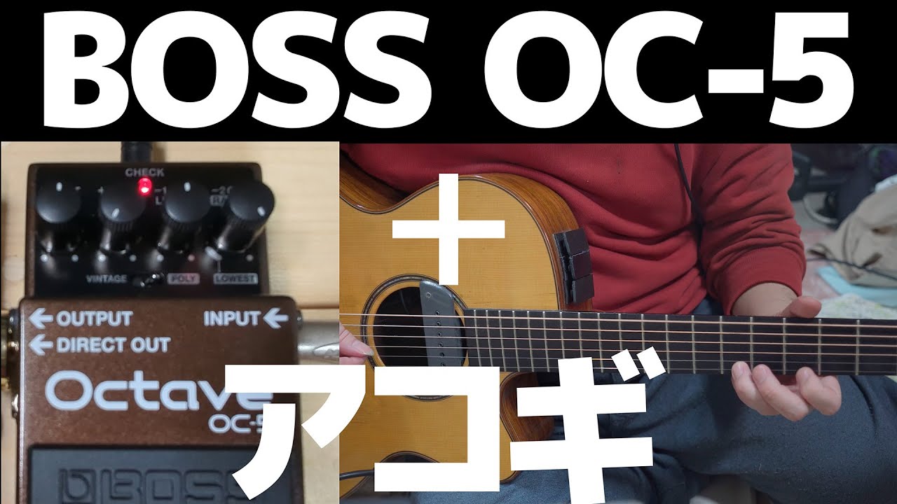 BOSS OC-5をアコギで使う！ - YouTube