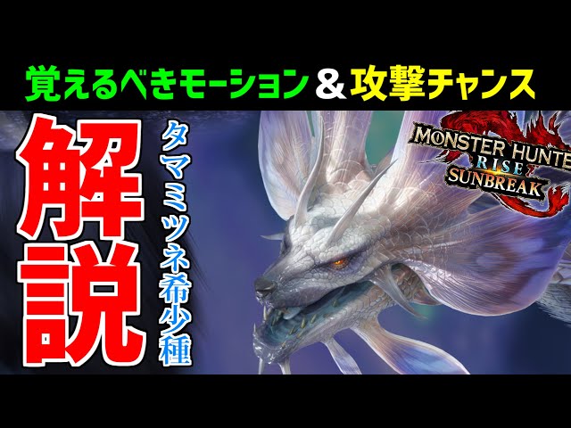 A guide to defeating the rare Tamamitsune, including the moves