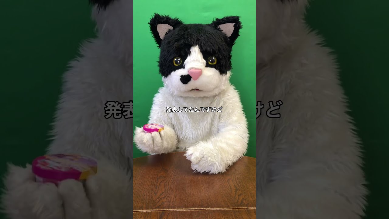 むぎ（猫） - YouTube