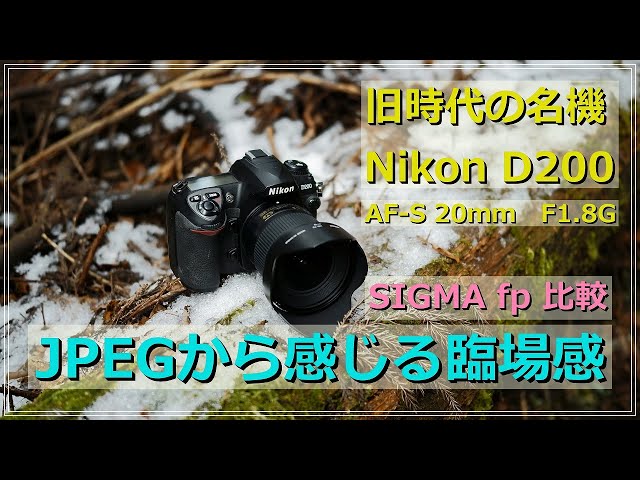 The legendary Nikon D200: JPEG forest snapshots with a sense of