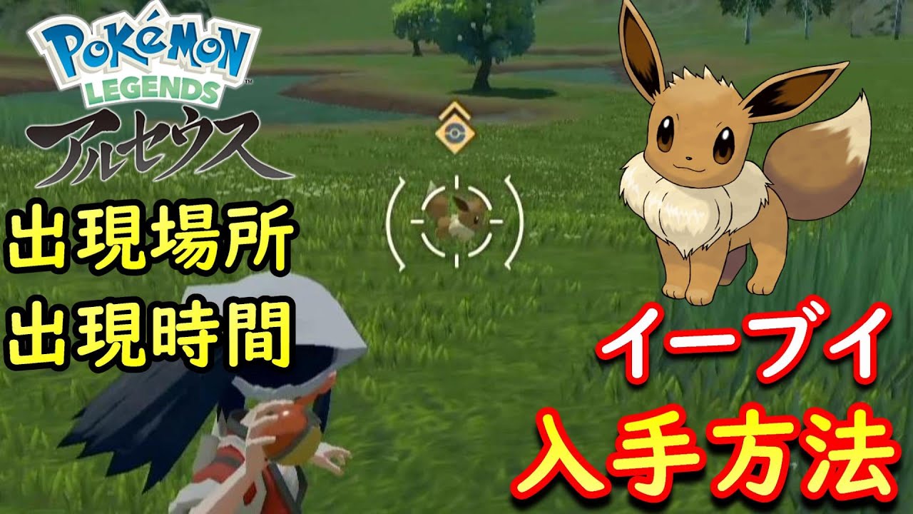 イーブイ入手方法を解説！出現場所や出現時間も判明！？【Pokémon