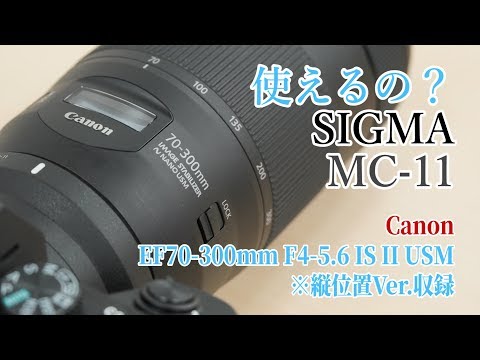 使えるの？】シグマ マウントアダプター MC-11でキヤノンEF70-300mm F4