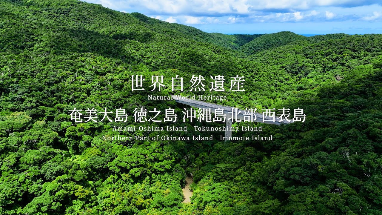 世界自然遺産「奄美・沖縄」5周年へ向けPR動画を公開―地域の魅力と