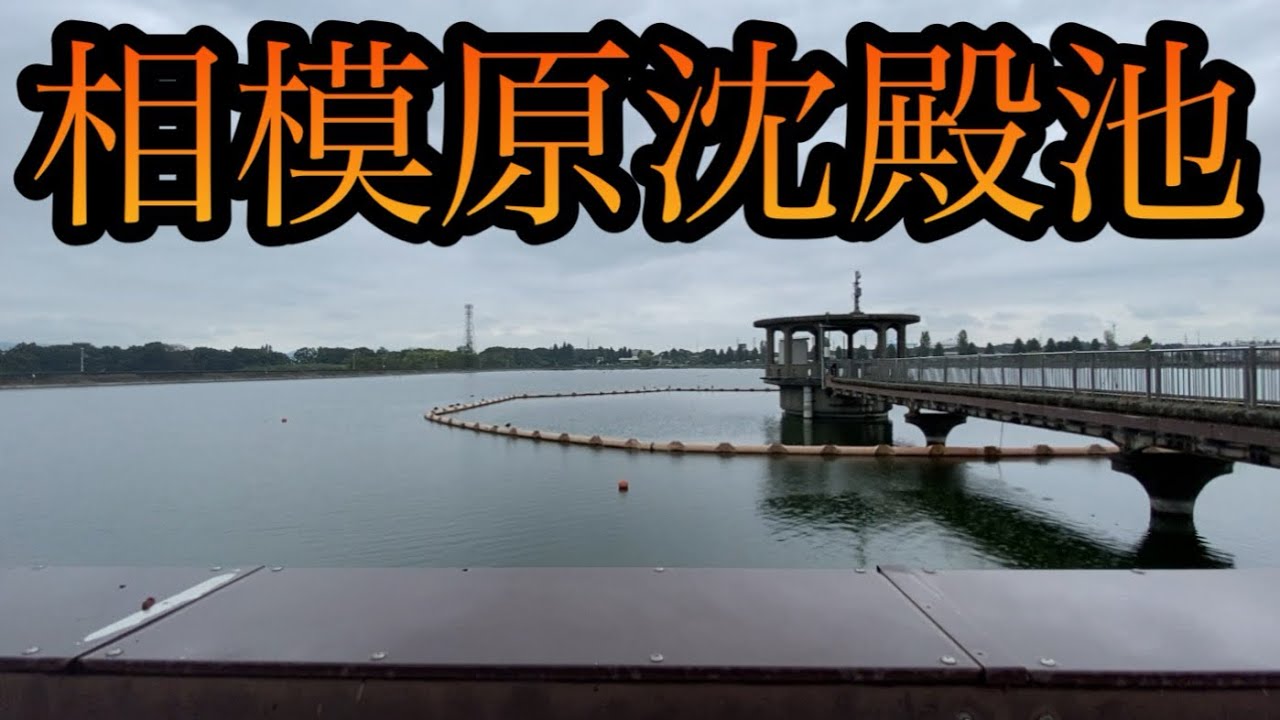 巨大な貯水池「相模原沈殿池」と「路地のある街」と「レトロ自販機」と