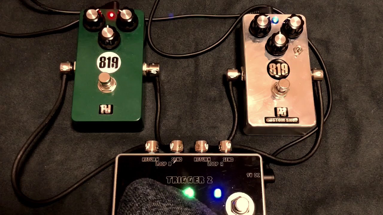 TS系ペダルPedaldiggers 6th Anniversary Model 819限定モデルを