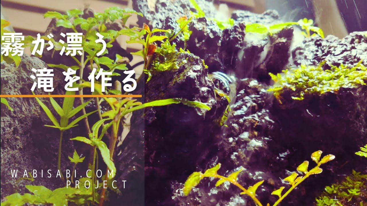 アクアテラリウムの作り方】30cm水槽に大きな滝を作る - YouTube