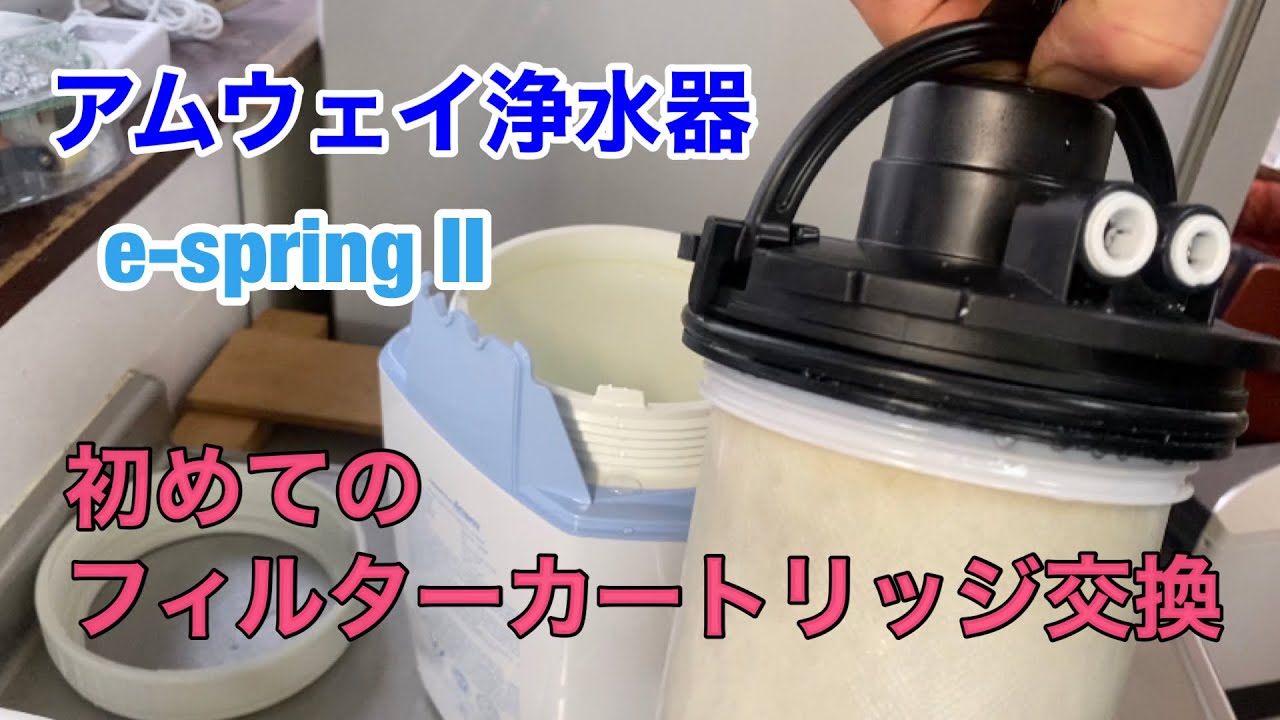 Amway eSpring浄水器用フィルター(旧型) E-4622-J1 Amway アムウェイ
