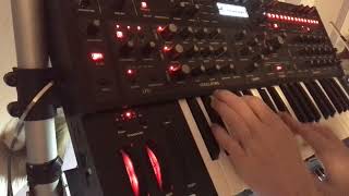 Black Corporation Deckard's Voice - Eurorack Module on ModularGrid