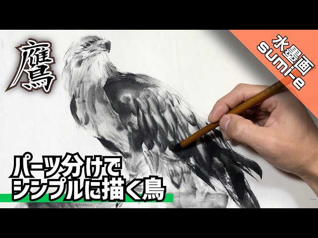 Ink painting] How to draw a hawk that looks like it's about to fly