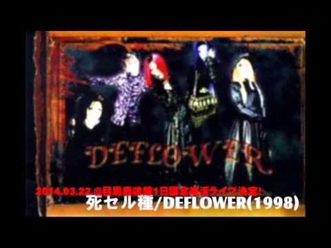 Noir fleurir / DEFLOWER 限定配布盤 デフラワー 2014.3.22.1日復活