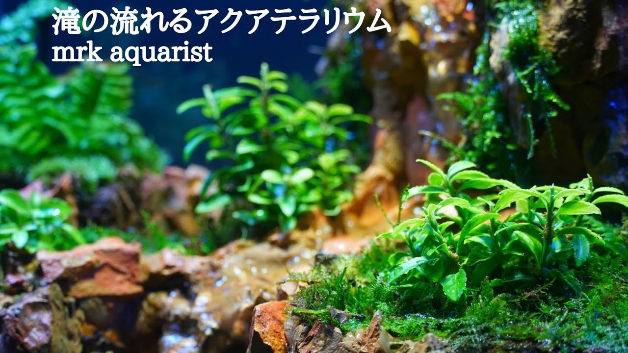 滝の流れるアクアテラリウムを作る【Part104】30cmキューブ 【メダカ