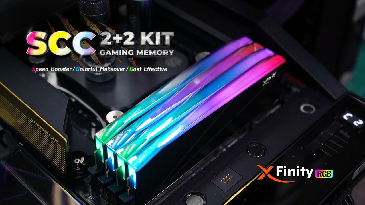 Manta SCC 2+2 KIT 32GB DDR5 メモリー DDR5 | [Manta] XFinity RGB
