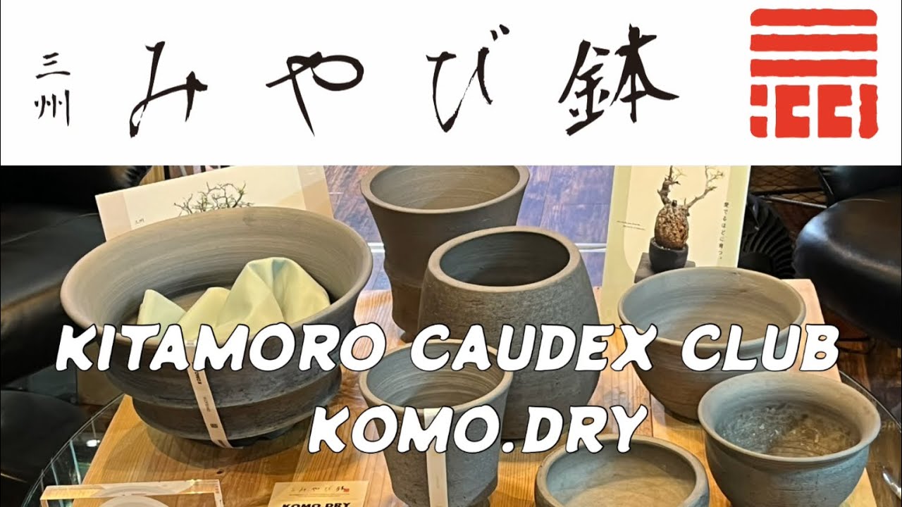 BOTANICAL GALLERY Vol.4 本当の三州みやび鉢について - YouTube