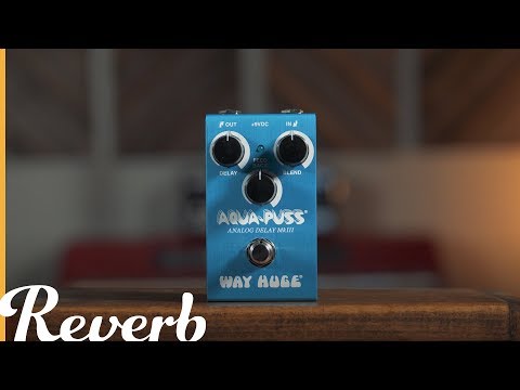 Way Huge Smalls Series Aqua-Puss Analog Delay MkIII | Reverb Demo