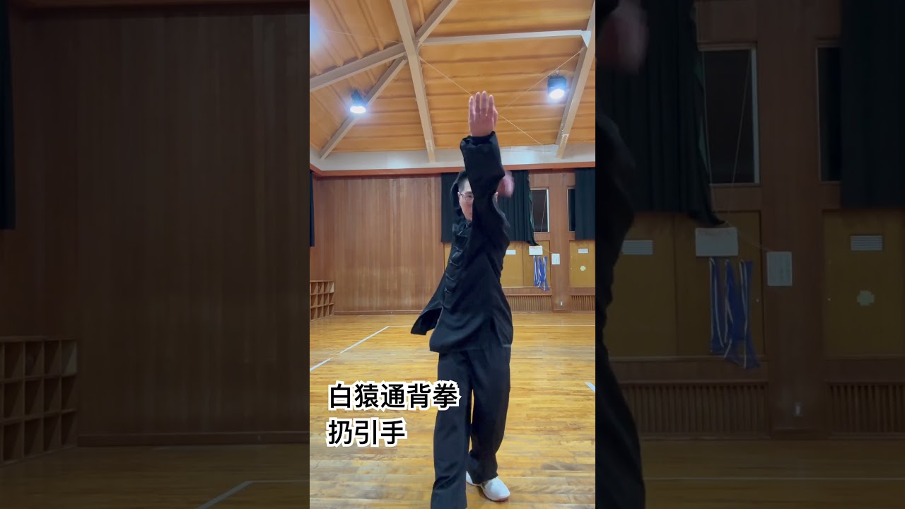 白猿通背拳 扔引手 #通背拳 #基本功 #武術 #中国武術 - YouTube