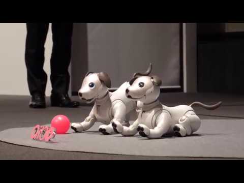 ソニー新「aibo」の動きデモ - YouTube