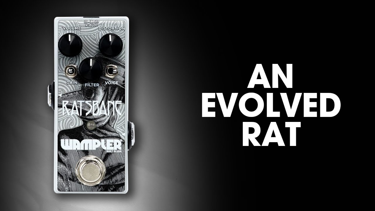Wampler Ratsbane vs Pro Co Rat - Wampler Ratsbane Distortion