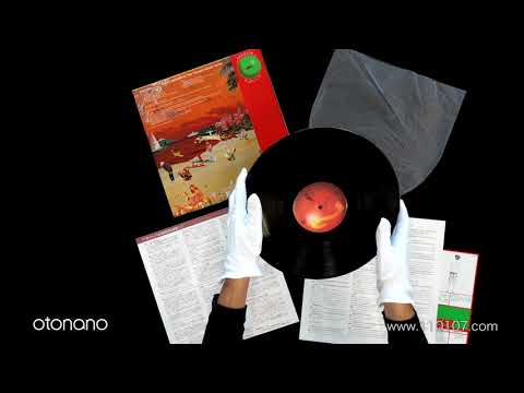 細野晴臣＆イエロー・マジック・バンド アナログ『はらいそ』2019リ