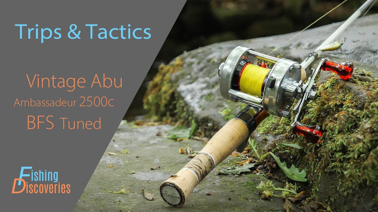 Ambassadeur 2500C (BFS Tuned) & Glass Rod: First Fish Caught after