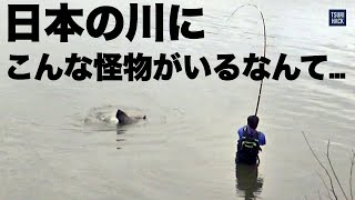 Miracle] An encounter with a mythical giant fish that 