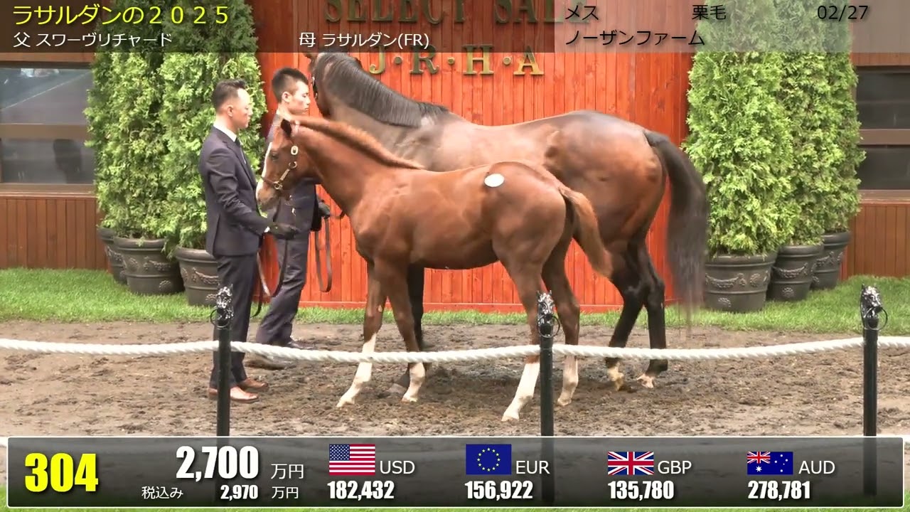 セレクトセール2025 2日目当歳 上場番号301～330 - YouTube