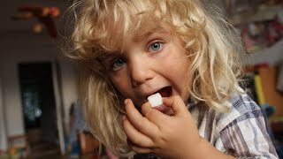 砂糖と健康について考えてみよう！映画『シュガー・ブルース 家族で